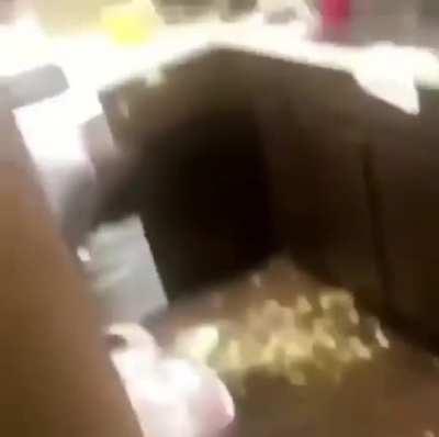 dropped my fries today