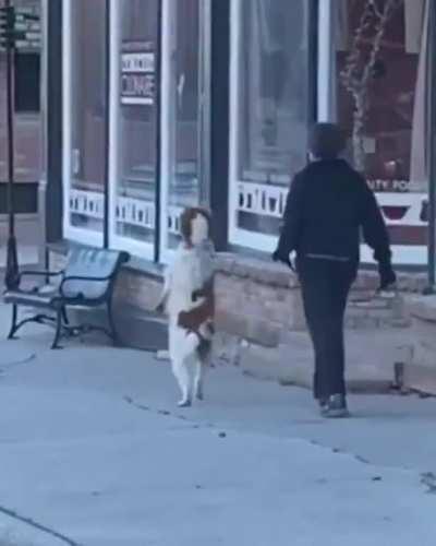 Colocaram a skin errada no NPC