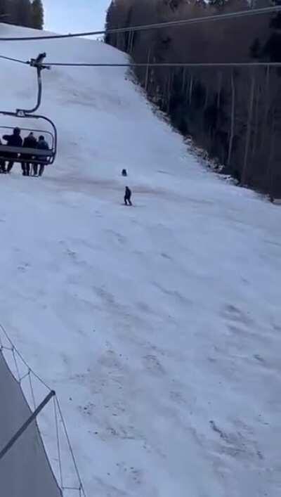 Skier chased by a bear in Romania