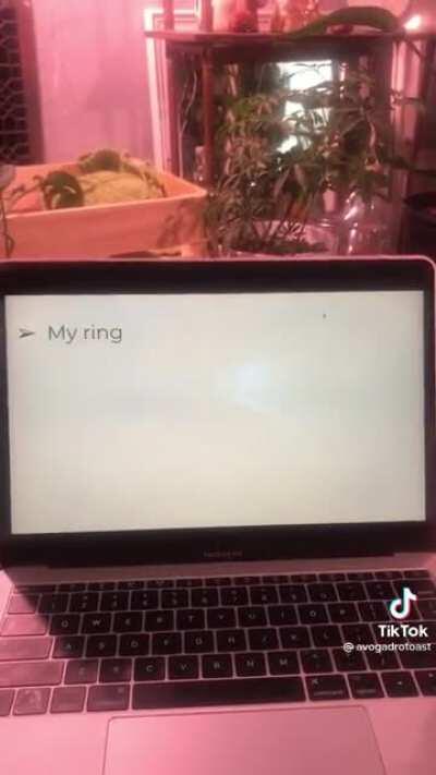 really got me in the first 1/2