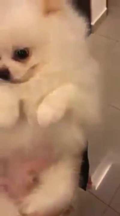 Think this secret santa gift is defective