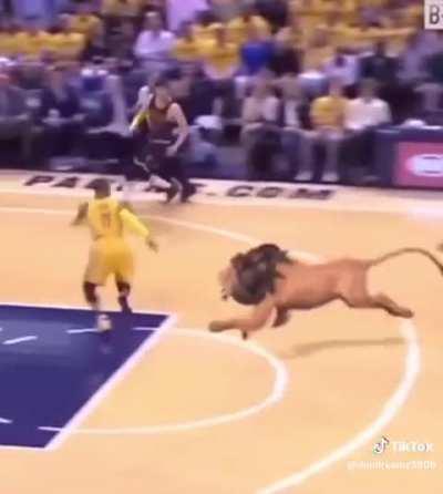 this probably funny asf 