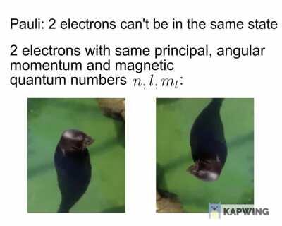 hope this wasn't done before. electrons go brrr