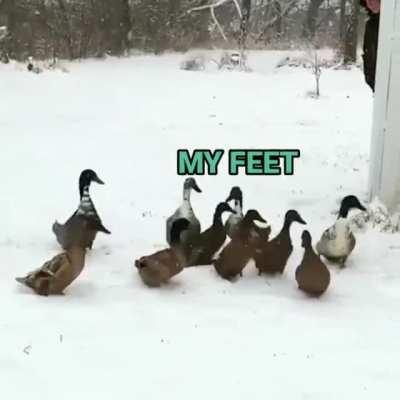 Instant regret there