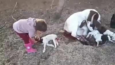 I think she’s Russian