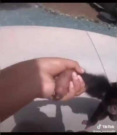 Reject humanity bacome monkaaaaaaaaaaaaaaaaaaaaaaaaaaa