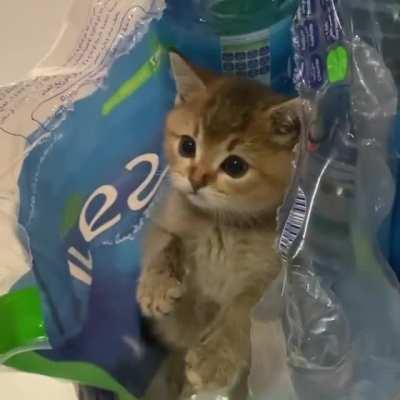 Shhhh... 🙈👀🤫