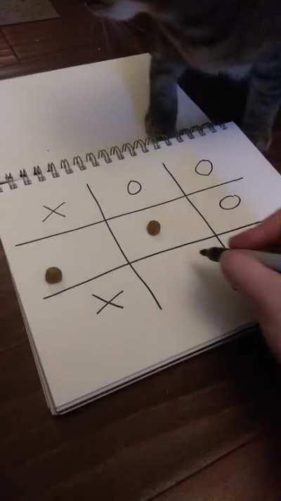 I did the thing with my cat!