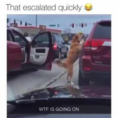 Roadrage never solves anything