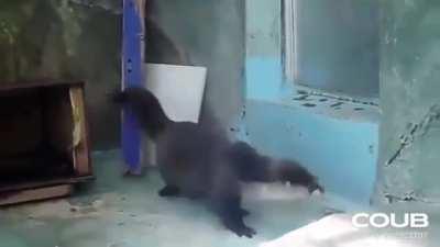 Dance like nobody's watching