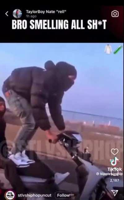 Regular day of Gaws life😭