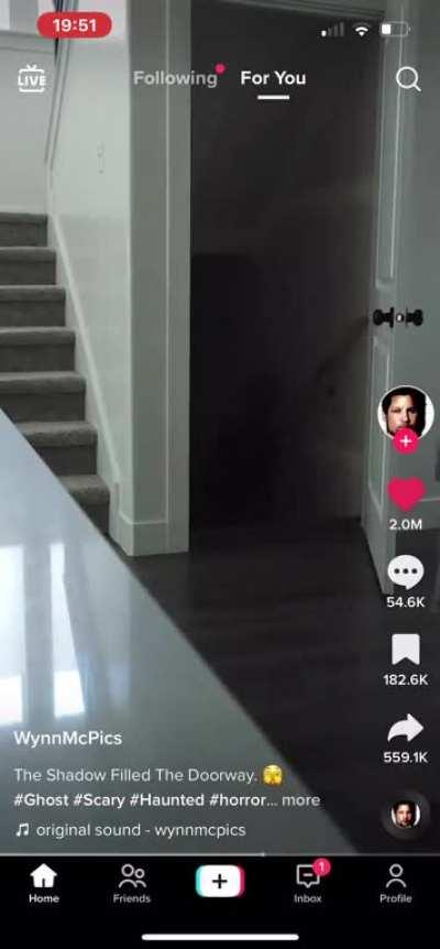 Have never gotten physically ill from this type of content but this did it for me