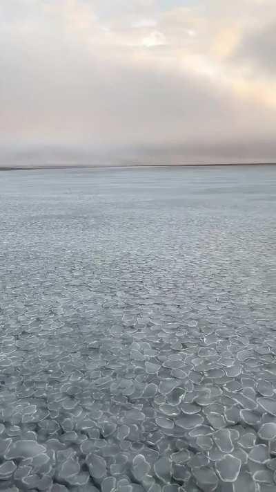 “Pancake Ice” moving with ocean swells in the Arctic  looks like something out of a dream.