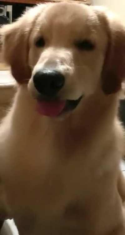 Dawg and his tongue lol