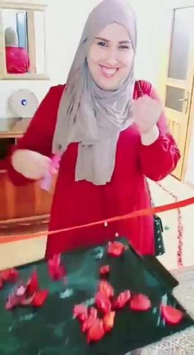 Do Tiktok pro ZapZap