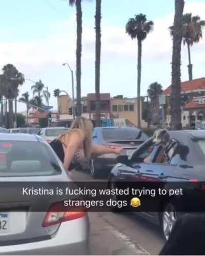 HMC while I try to pet a dog in traffic