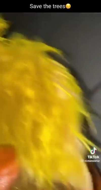 Gas station bathrooms 