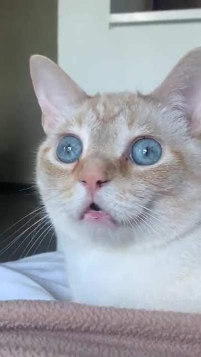 there’s nothing on up there