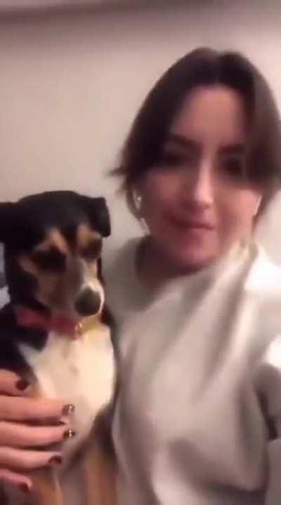 Watch out reactions after a sincere kiss from owner! Unconditional Love!