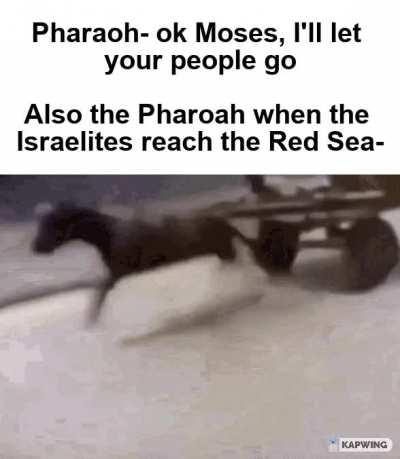 Should have stayed home, dude.