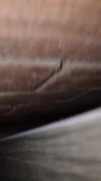 Of course it's my fault she squeezed behind the bed and couldn't squeeze out.