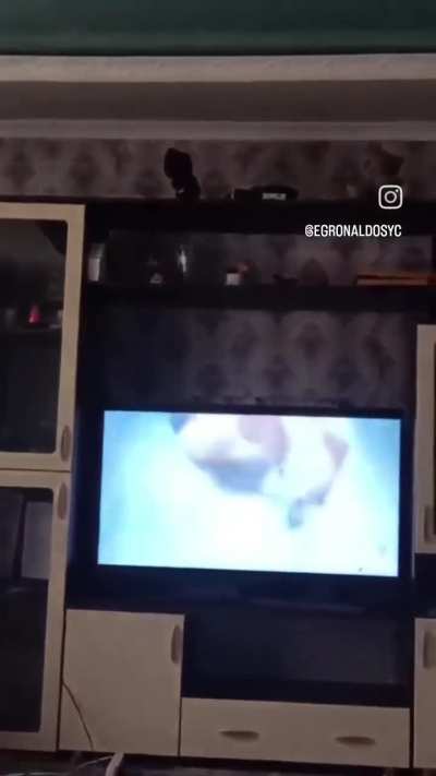 AuronPlay - Video #7329