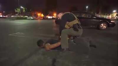 Worlds Funniest Arrest