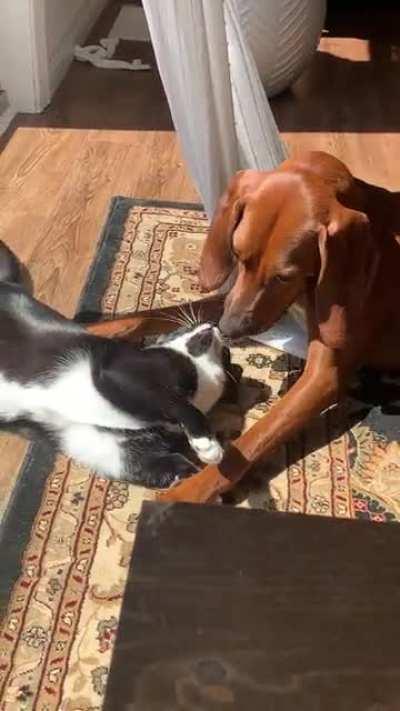 These two being the absolute cutest