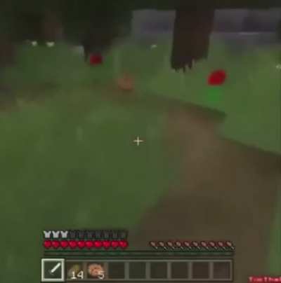 Minecraft let’s play gone wrong
