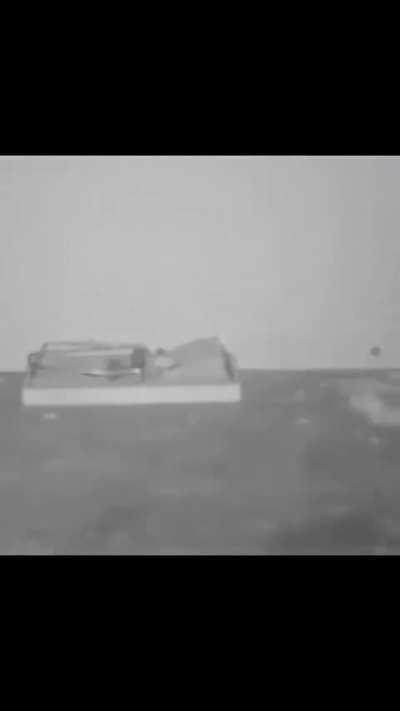 We all know rats are smart but this is next level 