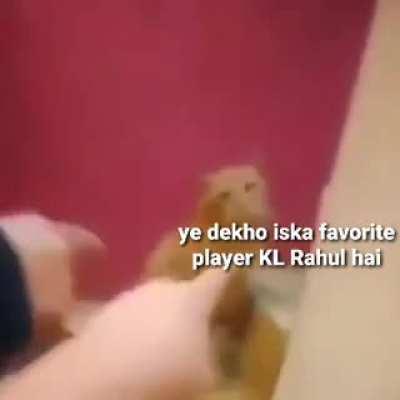 kis kis ka hai favorite