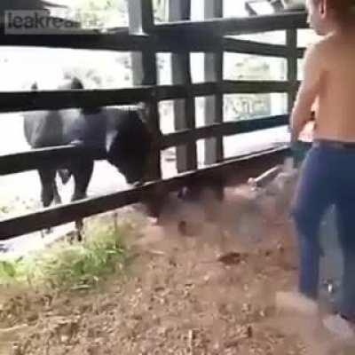 Dun Mez Wit Dat Bull Broski