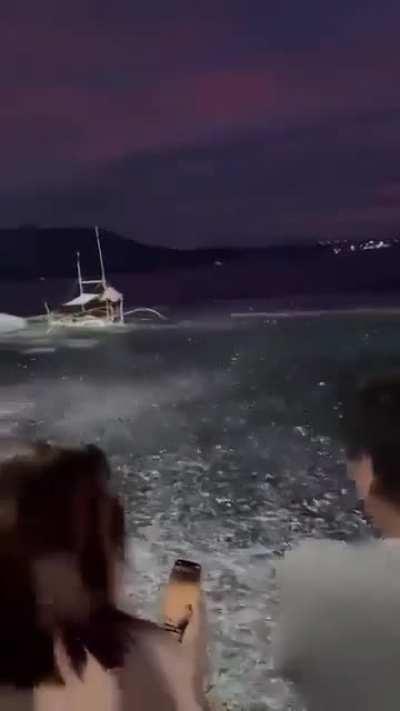 Philippines, millions of fish swim to the shore