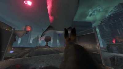 Daisy vs Shark - Who wins?