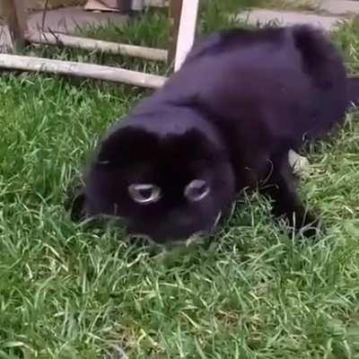 Me hiding in a bush with no long range weapons waiting for the two other teams to stop fighting