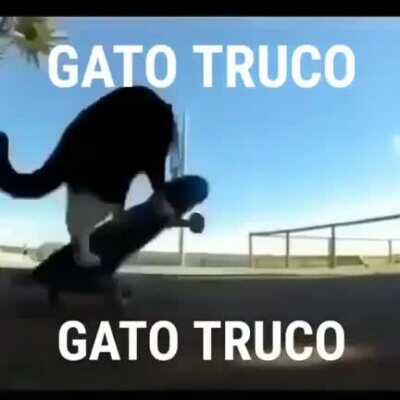 Gato Truco