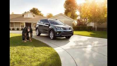 monke Must go to walmart to get banan. what shall happen in monke quest?