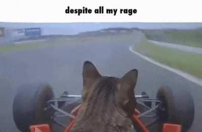 Ermmmm, photo comments are banned?