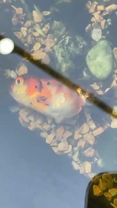 He really hit rock bottom