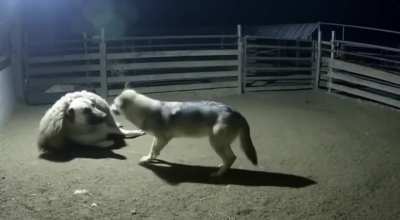 I can't believe you've done this to me. I was this close to a feast.