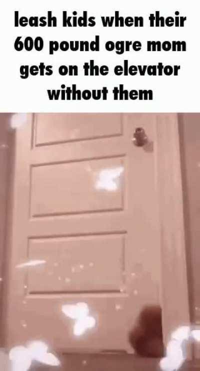 Why do parents put their kids on leashes like dogs?