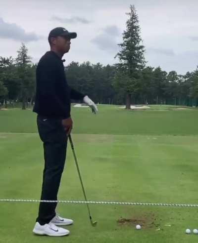 Tiger Woods low and high trajectory shot