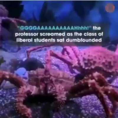 Fascinating Experiment, Professor!