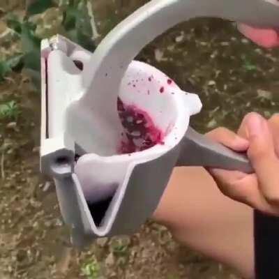 Idk if it's the juicer or the pomegranate, but I want...