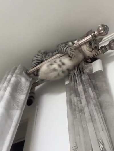 Mission Impossible: Curtain Protocol