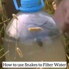 Man attempts to use a snake to filter water, an obvious result occurs