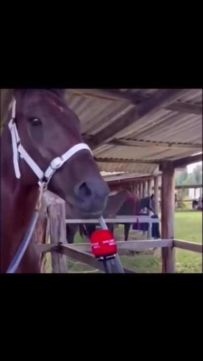 When IPL is over & another ICC event choke within an year is round the corner