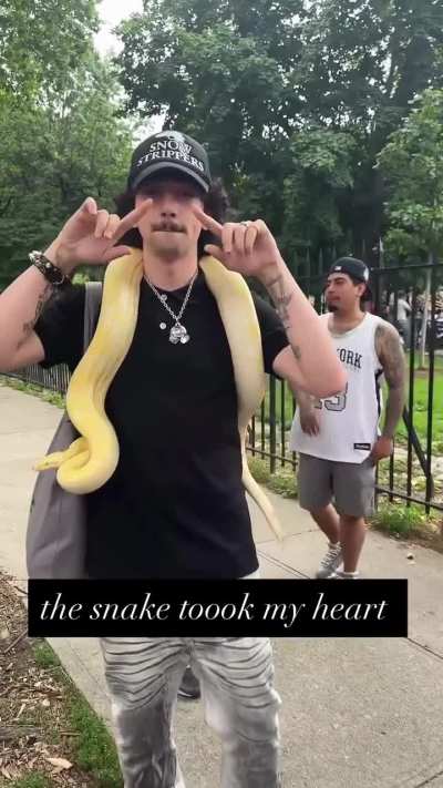the snake toook my heart