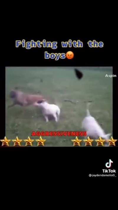 But where is the h0rny mood?😔