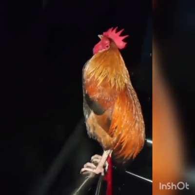 Bro think he is in Kiwami 2 ð